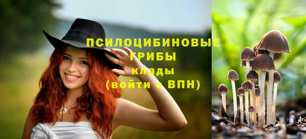 гашишное масло Абаза