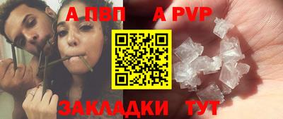 дмт Майкоп