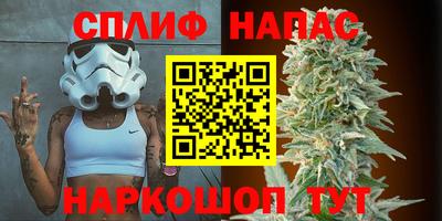 шишки Магадан