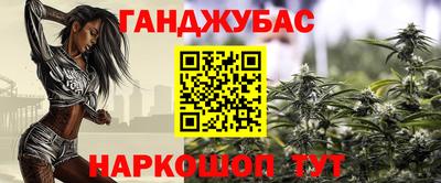 дмт Майкоп