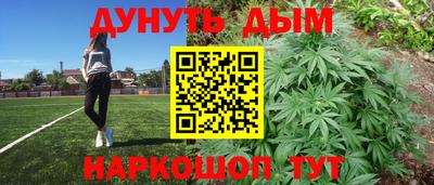 шишки Магадан